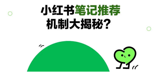 小红书运营技巧干货，引流，起号,养号，规避等！