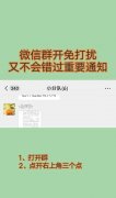 微信群怎么设置免打扰？开启消息免打扰又不错过重要消息方法